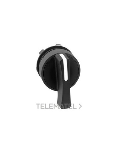 CABEZA SEL.d.22 MTA.LGA.NG 3 VTA.-D CTO.