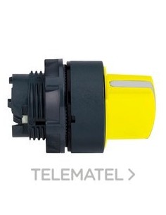 CABEZA SEL.d.22 MTA.CTA.AM.2 FJA.EPLA.