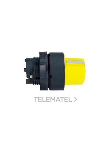 CABEZA SEL.d.22 MTA.CTA.AM.2 FJA.EPLA.