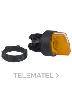 CABEZA SEL.d.22 2 FJA.MTA.AM.EPLA.