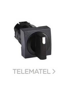 CABEZA SEL.d.16 MTA.NG 2 FJA.RTGLAR.