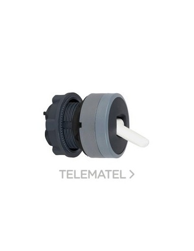 CBZA.SEL.XB5 PAL.NG 2 POS.RTNO.DCHA.IZQ.