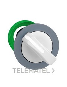 CBZA.SEL.XB5 MONT.ENRAS.BL 2 POS.RTNO