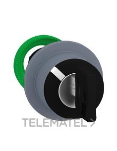 CBZA.SEL.XB5 MONT.ENRAS.LLV.455 2 POS