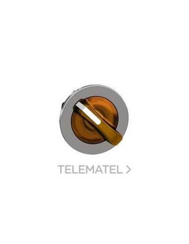 CBZA.SEL.LUMIN.XB4 MONT.ENRAS.NJ.2 POS