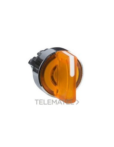 CBZA.SEL.d.22 2 VTA.DCHA.- IZQ.MTA.LGA