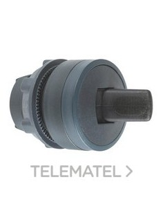 CABEZA SEL.d.22 2 POS.FJA.PAL.NG EPLA.