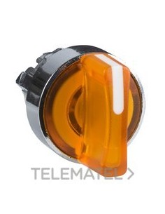 CABEZA SEL.d.22 2 FJA.MTA.LGA.AM.EMET.