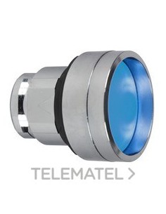 CABEZA PULS.ZB4 CPON.SLCNA.CLARA AZ