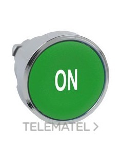 CABEZA PULS.ZB4 CPON.SLCNA.CLARA VD