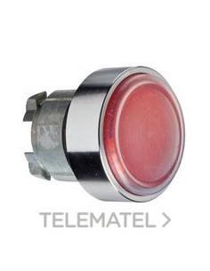 CABEZA PULS.ZB4 CPON.SLCNA.CLARA RJ