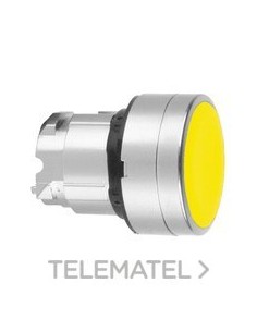 CABEZA RAS.AM.EMB.An