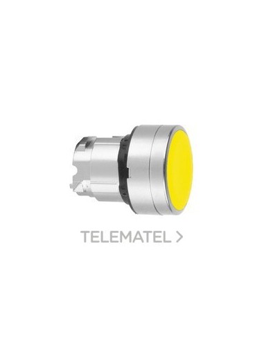 CABEZA RAS.AM.EMB.An