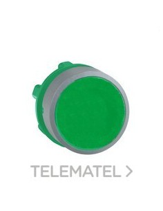 CABEZA PULSADOR XB5 VERDE GRIS