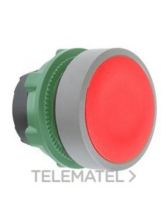 CABEZA PULS.XB5 RJ PULSACIÓN DBL.GR