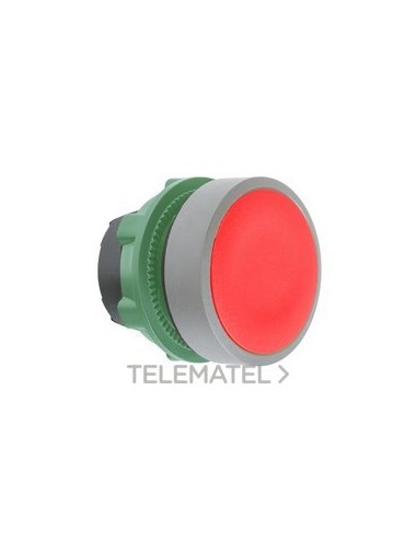 CABEZA PULS.XB5 RJ PULSACIÓN DBL.GR