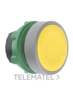 CABEZA PULS.XB5 NJ.PULSACIÓN DBL.GR