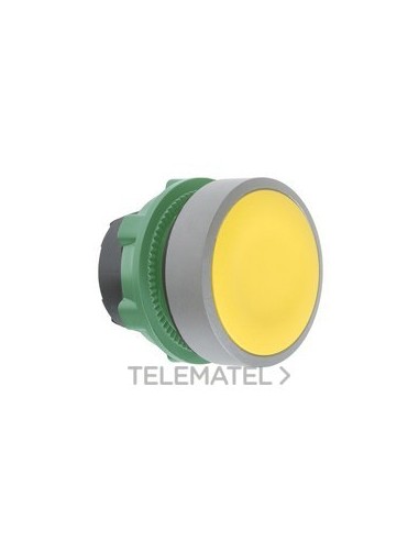 CABEZA PULS.XB5 NJ.PULSACIÓN DBL.GR