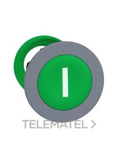 CBZA.PULS.XB5 MONT.ENRAS.VD MCJE."I" GR