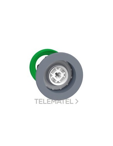 CABEZA PULS.XB5 MONT.ENRAS.S/TP.GR