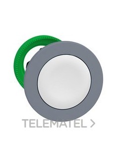 CBZA.PULS.XB5 MONT.ENRAS.BL COLOR GR CUS