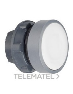 CABEZA PULS.XB5 BL MCJE."I" GR