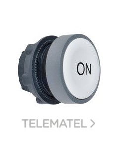 CBZA.PULS.XB5 BL BISEL ALT.COLOR GR CUST