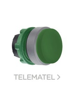 CABEZA PULS.STE.XB5 VD COLOR GR