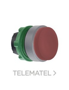 CABEZA PULS.STE.XB5 RJ COLOR GR