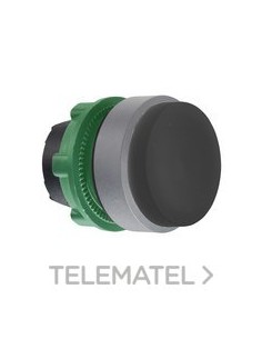 CBZA.PULS.STE.XB5 NG PULSACIÓN DBL.COLOR