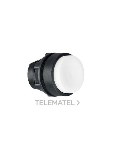 CABEZA PULS.STE.XB5 BL CUSTO S/MCJE.