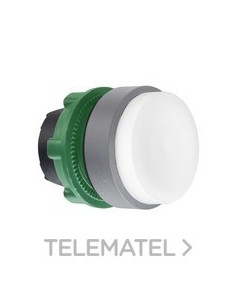 CABEZA PULS.STE.XB5 BL COLOR GR CUSTO