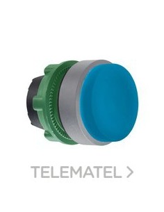 CABEZA PULS.STE.XB5 AZ COLOR GR