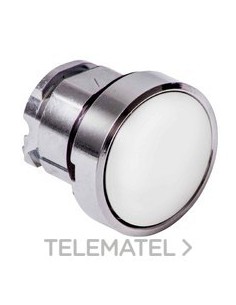 CBZA.PULS.RAS.XB4 BL CUSTO PULSACIÓN DBL