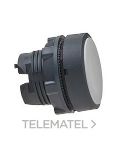 CBZA.PULS.RAS.XB5 BL CUSTO PULSACIÓN DBL