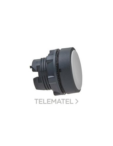 CBZA.PULS.RAS.XB5 BL CUSTO PULSACIÓN DBL