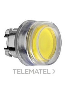 CABEZA PULS.LUMIN.ZB4 CPON.SLCNA.CLARA