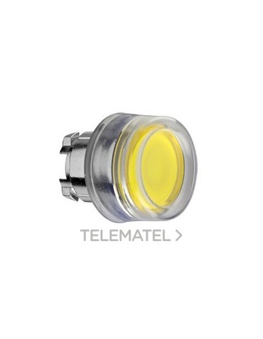 CABEZA PULS.LUMIN.ZB4 CPON.SLCNA.CLARA