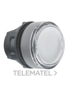 CABEZA PULS.LUMIN.XB5 TP LED P/ETIQ.
