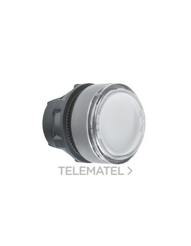 CABEZA PULS.LUMIN.XB5 TP LED P/ETIQ.