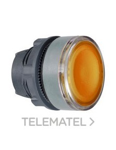 CABEZA PULS.LUMIN.XB5 NJ.LED P/ETIQ.GR