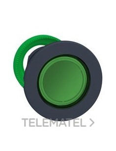 CBZA.PULS.LUMIN.XB5 MONT.ENRAS.VD PULSAC