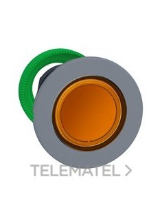 CBZA.PULS.LUMIN.XB5 MONT.ENRAS.IMP.NJ