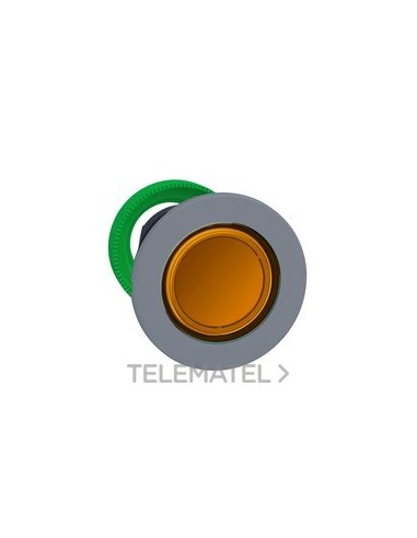 CBZA.PULS.LUMIN.XB5 MONT.ENRAS.NJ.LED GR