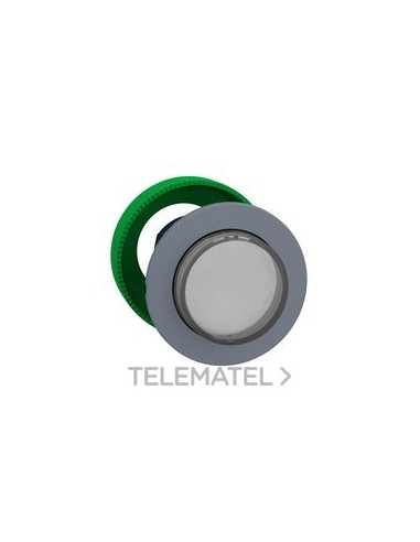 CBZA.PULS.LUMIN.XB5 MONT.ENRAS.BTN.STE