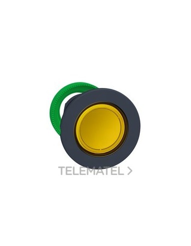 CBZA.PULS.LUMIN.XB5 MONT.ENRAS.AM.PULSAC