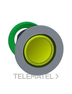 CBZA.PULS.LUMIN.XB5 MONT.ENRAS.AM.LED GR