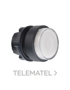 CBZA.PULS.LUMIN.XB5 LED STE."PULSAR -