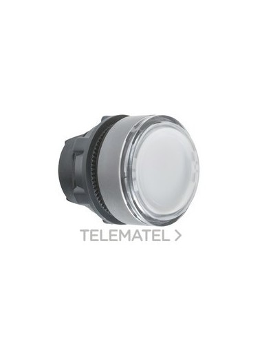 CBZA.PULS.LUMIN.XB5 BL LED PULSACIÓN DBL