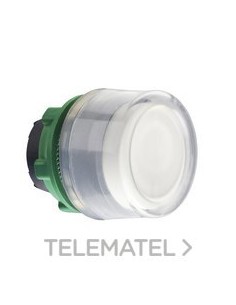 CABEZA PULS.LUMIN.XB5 BL CPON.TP LED GR